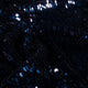 24309/008