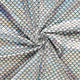 20856/070