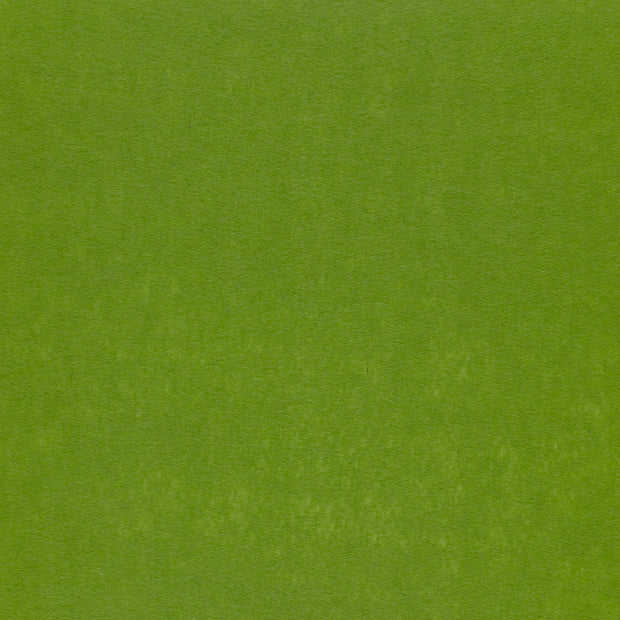Felt 3mm fabric Green matte 