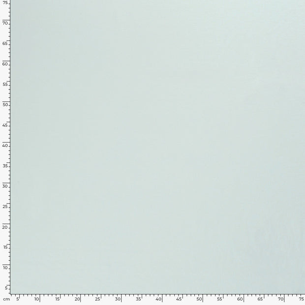 Jersey fabric Unicolour Ice Mint