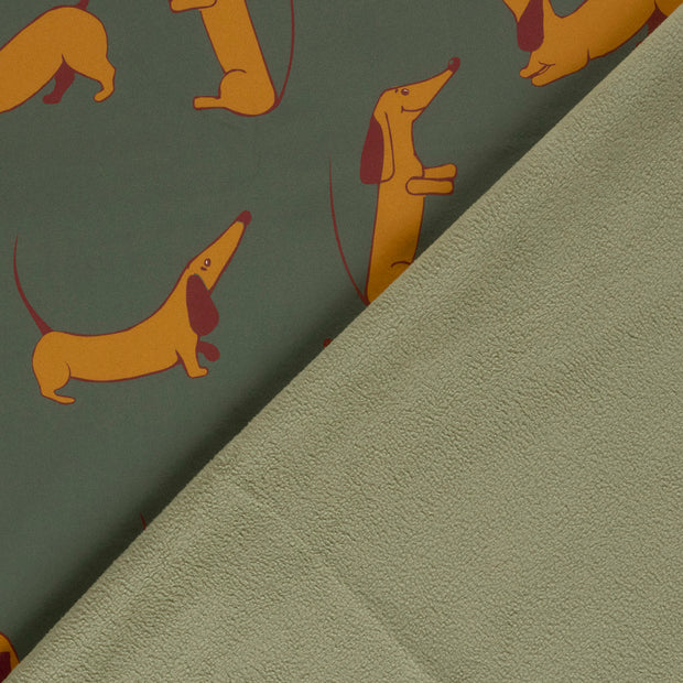 Softshell fabric Dinosaurs digital printed 
