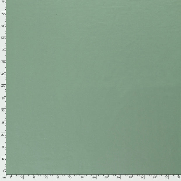 French Terry tissu Unicolore Menthe foncée