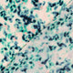 25019/022