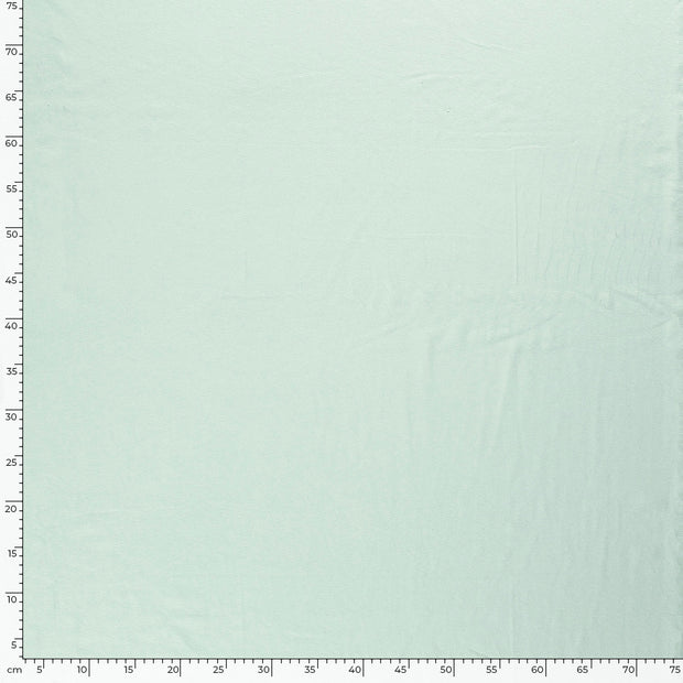 Jersey fabric Unicolour Mint
