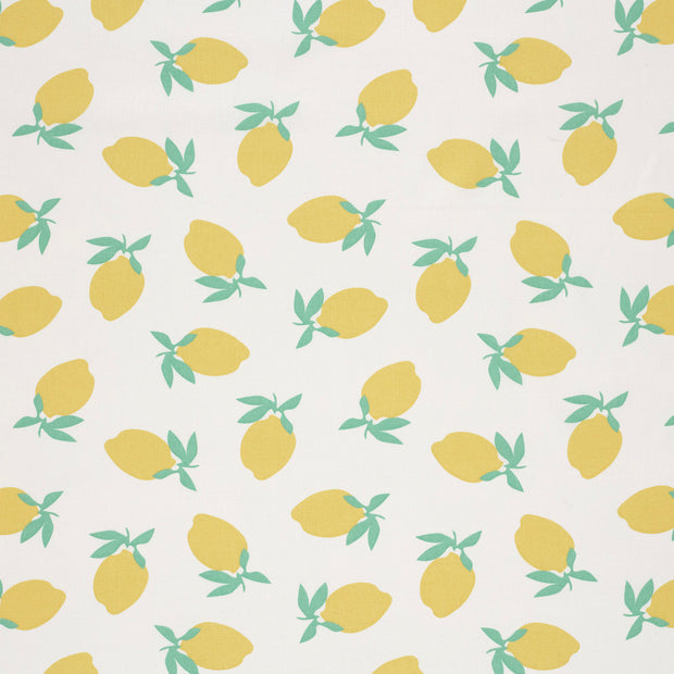 Popeline de Coton tissu Blanc cassé mat 