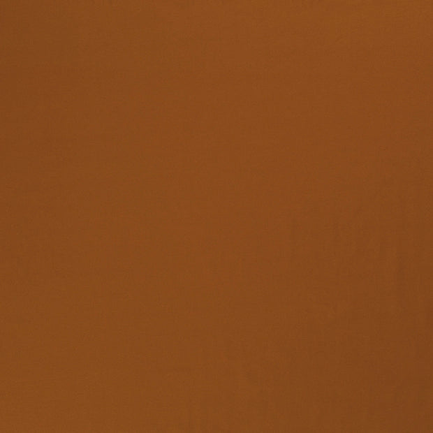 Jersey tissu Caramel 