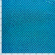 20856/004