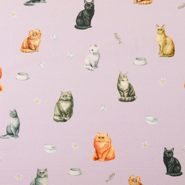 Cretonne tissu chats 
