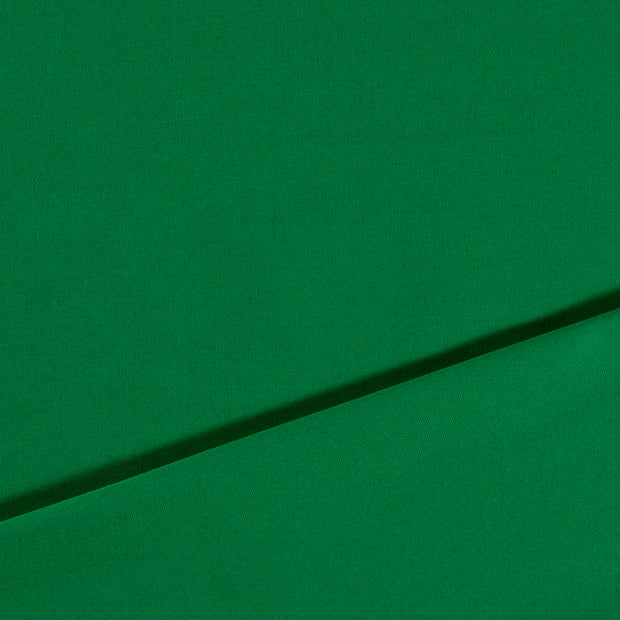 Canvas tissu Pomme verte 