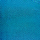 20856/004