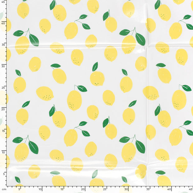 Coated Tablecloth fabric Fruits Off White